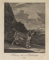 KG 01073
          <br/>
          Entwurf einiger Thiere. Erster Theil. (18 bladen)
          <br/>
          <em>Ridinger, Johann Elias (1698-1767)</em>